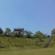 さくらんぼ