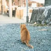 さんかくの画像