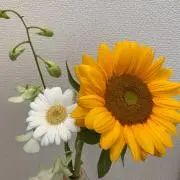 Ku-⭐︎の画像