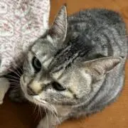ゆぅの画像