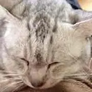 Marumon プロフ読んでくださいの画像