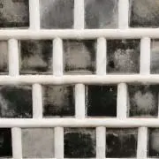 とんでぃーの画像