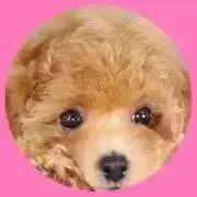 ミニマリスト☺︎の画像