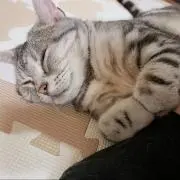 ☪︎あま