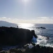 zattinoの画像