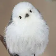 もげ