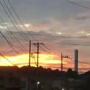 たまねぎの画像