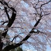 みうらの画像