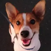 環七ゲートウェイの画像