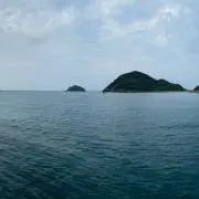 ck