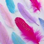 きゃなりんの画像