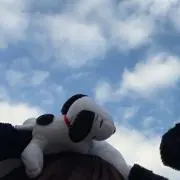 あの画像