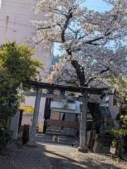 てーるの画像