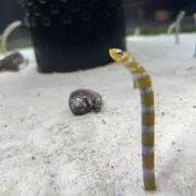断捨離の画像