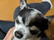 ゆかの画像