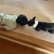 きのこの画像