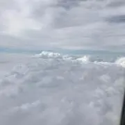 にゃおん