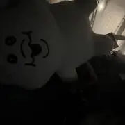 猪野の画像