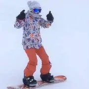 スターリットの画像