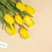kの画像