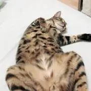 ここの画像