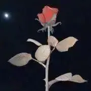 hanaの画像