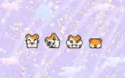 ぴぴはうすの画像