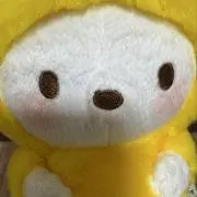 Hinaの画像