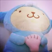 ぽむの画像