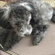 こーびー