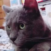 Mika.Sの画像