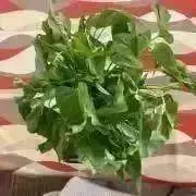 マフィン★プロフお読み下さいねの画像