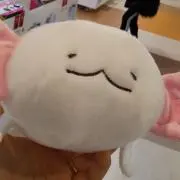 ＊しずく＊