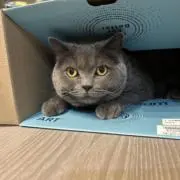 なり
