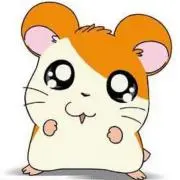 rarukの画像