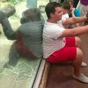 れんたろう
