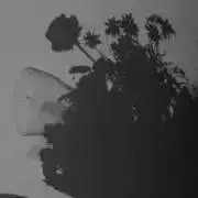 w.kaの画像