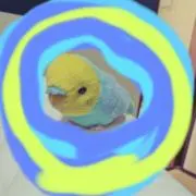 ラムネの画像