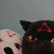 かかか