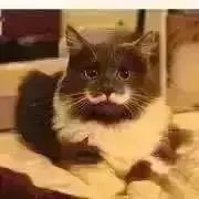 プロフ未読の方はお断りしますの画像
