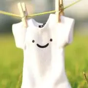 コロの画像