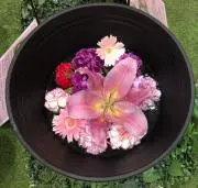 やえの画像