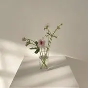 とまとの画像