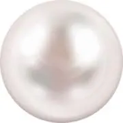 あの画像