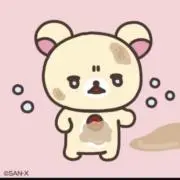 のんたんの画像
