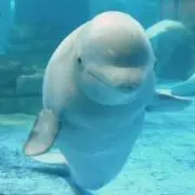 みどり　コメントお気軽にどうぞ