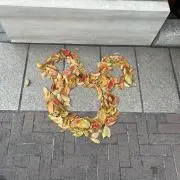 ちたの画像
