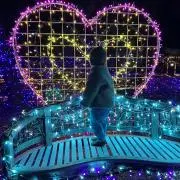 coco⭐︎の画像
