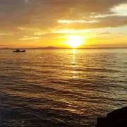 てってれー