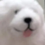 あるるの画像